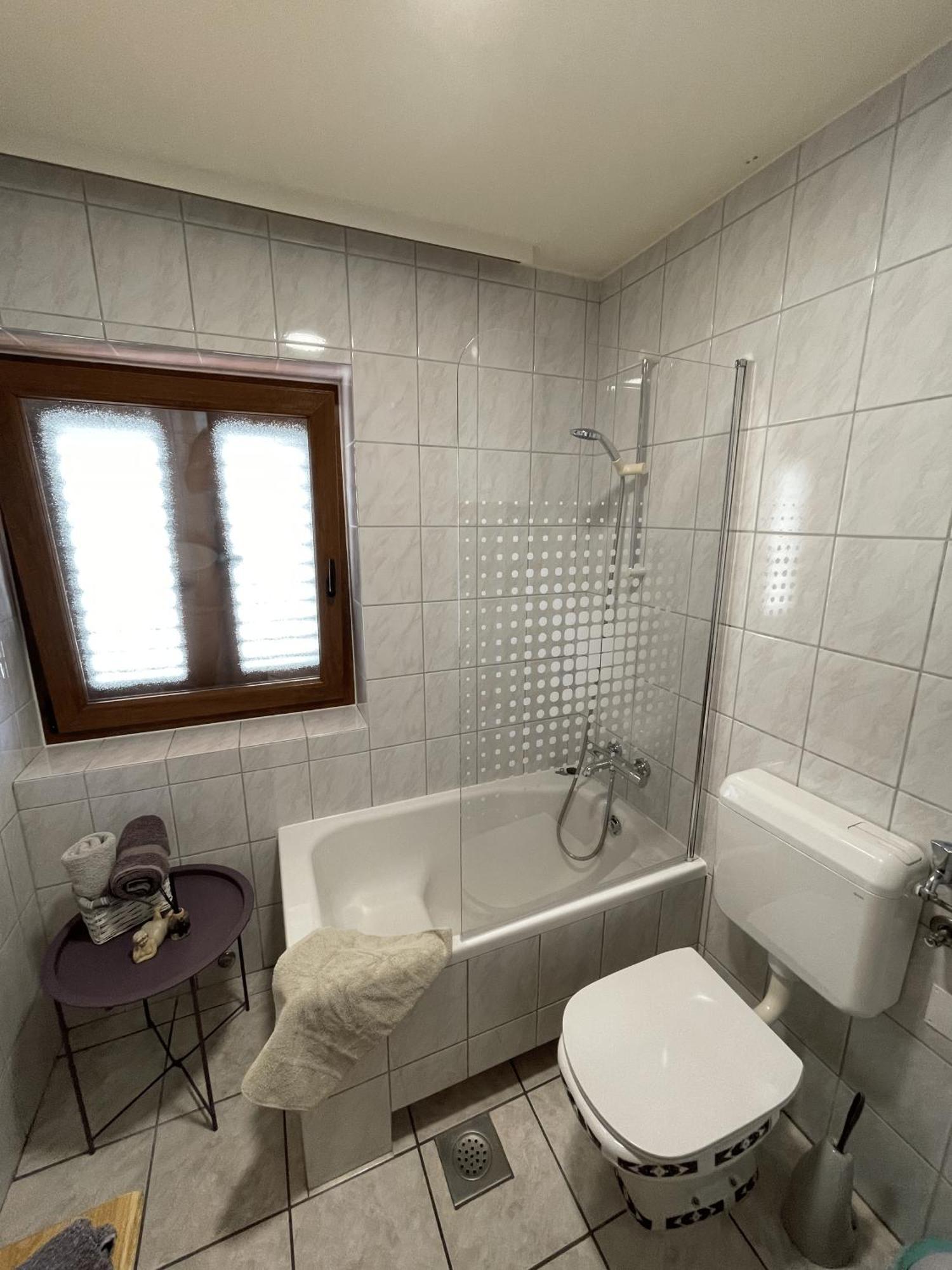 Krnjic Apartment
